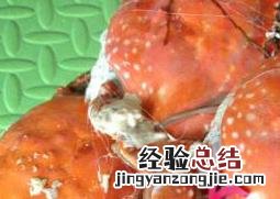 水煮螃蟹如何做好吃 水煮螃蟹如何做