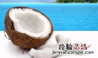 椰子的营养价值及功效与作用禁忌副作用 椰子的营养价值及功效与作用