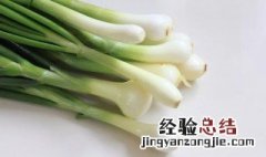 葱营养价值及功效与作用是什么 葱营养价值及功效与作用