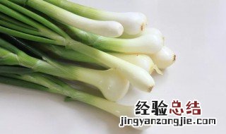 葱营养价值及功效与作用是什么 葱营养价值及功效与作用