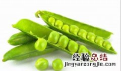 白豌豆营养价值及功效与作用 白豌豆营养价值及功效与作用禁忌