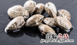 蛤蜊干怎么保存 干蛤蜊肉的保存方法