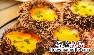 海胆的热量 关于海胆的热量介绍
