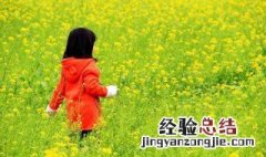 踏青是什么节日的习俗 为什么要踏青