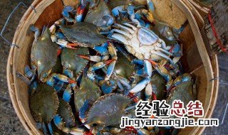 螃蟹蒸多久才能熟透 螃蟹蒸多久才能熟透一点