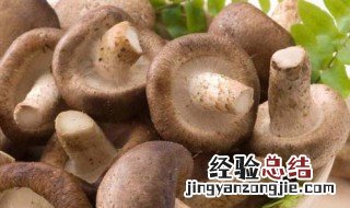 香菇的功效与作用以及营养价值 香菇香菇的营养价值及功效与作用