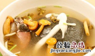 清炖马蹄鳖怎么做 清炖马蹄鳖做法