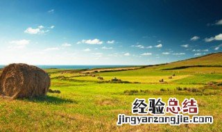 2008年5月6日是什么季节 2008年五月六日出生的是什么星座