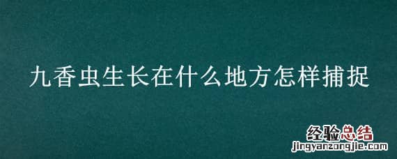 九香虫在哪里捉 九香虫生长在什么地方怎样捕捉