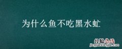 为什么鱼不吃黑水虻 为什么鱼不吃黑水虻幼虫