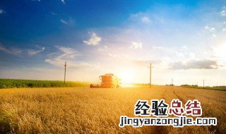 一亩地等于多少平方米 换算公式是什么
