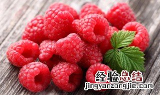 树莓的营养价值 山莓的营养价值
