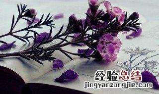 调停是什么意思解释 调停是什么意思