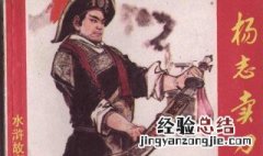 杨志的性格特点 你了解了吗