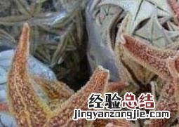 干海星泡酒怎么泡 干海星泡酒的方法和功效