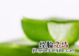 芦荟的功效与作用是什么 芦荟的功效与作用