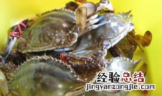 海螃蟹的营养价值及功效与作用图片 海螃蟹的营养价值及功效与作用