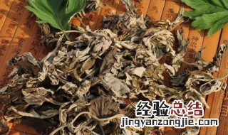 房间熏艾草的危害 好处又有哪些呢