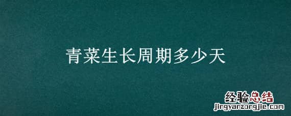 青菜生长周期多少天结果 青菜生长周期多少天