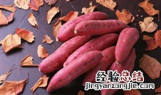 红薯的营养价值和功效 红薯的的营养价值及功效与作用