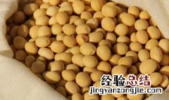 正确的熬制黄豆酱方法 正确的熬制黄豆酱方法视频