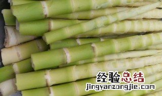 绿笋制作方法视频 绿笋制作方法