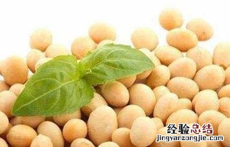 导致大豆早衰的原因是什么 导致大豆早衰的原因