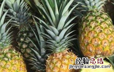 金菠萝的功效与作用及禁忌症 金菠萝的功效与作用及禁忌