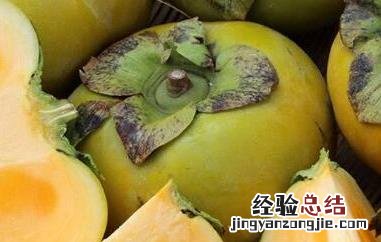 青柿子怎么去涩又脆又甜 青柿子怎么去涩又脆又甜视频
