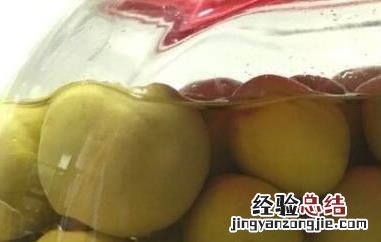 青梅酵素的功效与作用及禁忌 青梅酵素的功效与作用及危害