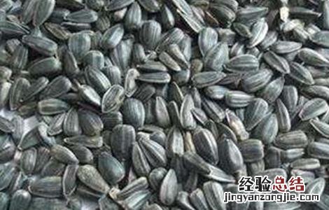 油葵的种植方法及亩产 油葵的种植方法
