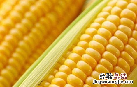 玉米高产的管理技术 玉米高产的田间管理