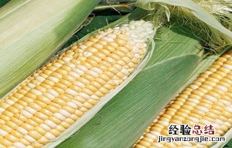 如何预防玉米高温危害 如何预防玉米高温危害的方法