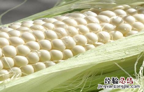 如何预防玉米高温危害 如何预防玉米高温危害的方法