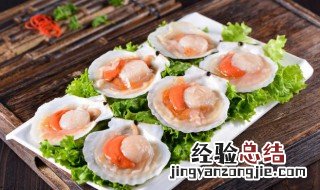 扇贝吃多了好吗 扇贝吃多了会怎么样
