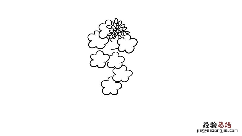菜花简笔画图片 菜花简笔画怎么画