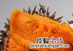 活海胆怎么处理 活海胆怎么处理好吃