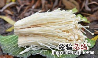 金针菇的营养价值及功效与作用图片 金针菇的营养价值及功效与作用