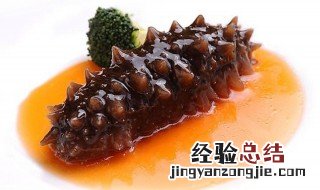 海参营养价值及功效与作用 海参营养价值及功效与作用