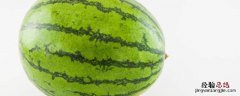 西瓜冬天可以种植吗农村 西瓜冬天可以种植吗
