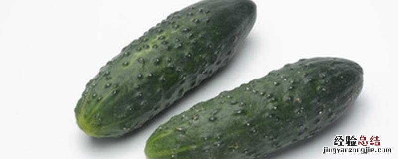 黄瓜在春天什么时候种 黄瓜春天什么时候种植