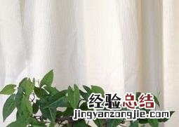 何首乌的养殖方法和用量 何首乌的养殖方法