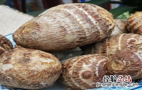芋头的种植方法 芋头的种植方法和时间视频