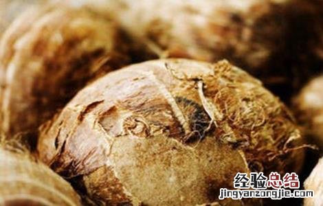 芋头的种植方法 芋头的种植方法和时间视频