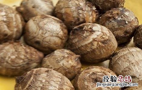 种植芋头需要的条件和方法 种植芋头需要的条件