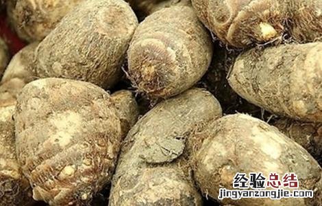 种植芋头需要的条件和方法 种植芋头需要的条件
