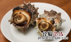 冷冻的海螺肉如何做 怎么做冻海螺肉