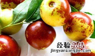 生枣子的功效与作用 鲜枣的功效和食用禁忌