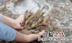 酸甜银丝虾怎么做 酸甜银丝虾怎么做才好吃