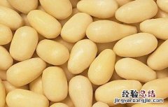 黄豆的种植方法与时间与田间管理视频 黄豆的种植方法与时间